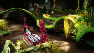 Group fake dragon park grass - fake free wallpaper