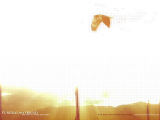 Bird flying city sunset background - a sunset in the background and a bird free wallpaper