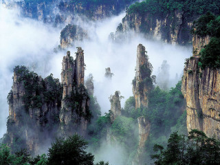 Mountain landscape fog trees foreground - a mountain landscape free wallpaper