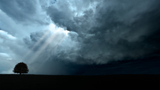 Tree field cloudy sky beam - a beam of light free wallpaper