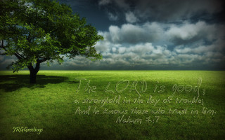 Tree bible verse cloudy sky - esaias boursse free wallpaper