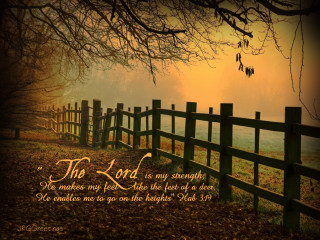 Fence quote field leaves ground - radiant free wallpaper