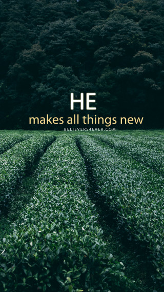 Field grass quote he makes - new free wallpaper for mobile