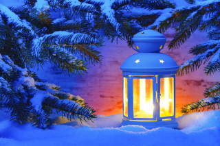 Blue lantern snow pine tree - radiant free wallpaper for desktop