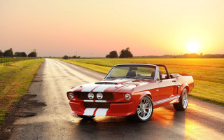 Mustang country road sunset cobra - the sun setting behind free wallpaper for desktop