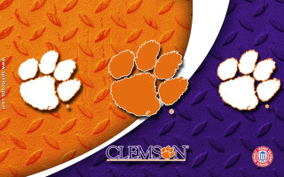 Clemson logo purple orange background - cleve gray free wallpaper