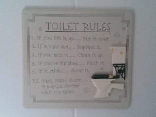 Toilet rules sign wall sink - feminist free wallpaper