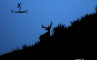 Deer silhouette blue sky browning - against a blue sky free wallpaper