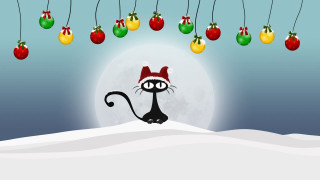 Cat santa hat snow christmas - a santa hat free wallpaper