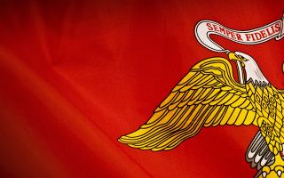 Flag bird banner image description - a flag free wallpaper