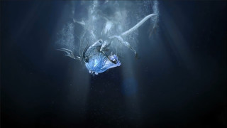 Large bird flying water light - a large bird free wallpaper