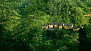 House forest trees hill background - free spring wallpaper for desktop