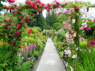 Garden walkway flowers trees bushes - betye saar free wallpaper