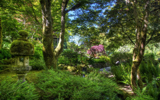Garden stone lantern trees bushes - eishōsai chōki free wallpaper
