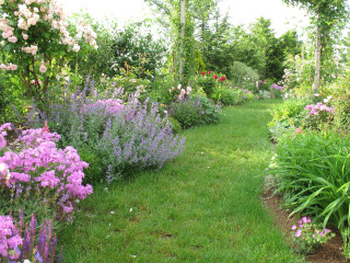 Garden path flowers trees background - betye saar free wallpaper for desktop