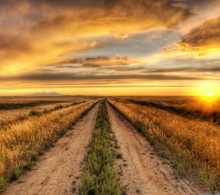 Dirt road sunset grass field - free sunset wallpaper for tablet