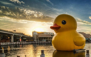 Large rubber ducky lake pier - unreal engine free wallpaper for desktop