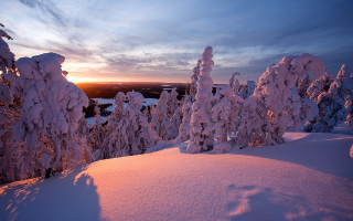 Snowy landscape trees sunset clouds 2 - tree and a sunset in the background free wallpaper