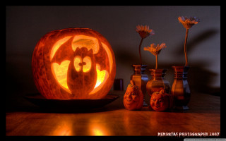 Carved pumpkin cat face vases - a still life free wallpaper