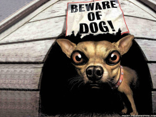 Dog sign doghouse beware of - pop surrealism free wallpaper