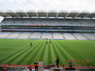 Stadium people field stands flag - the field free wallpaper