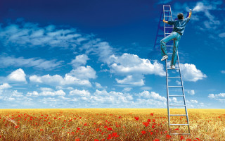 Man climbing ladder field flowers - the ground below free wallpaper
