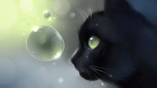 Black cat green eyes bubbles - a black cat free wallpaper