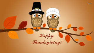 Two owls branch happy thanksgiving 2 - free holidays wallpaper