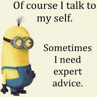 Minion funny expression quote verdadism - free other wallpaper