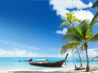 Boat beach palm trees blue 6 - palm tree free wallpaper for desktop