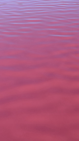 Red water boat distance pink - anish kapoor free wallpaper for mobile