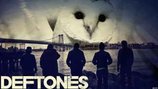 People owl river bank bridge - an owl free wallpaper