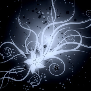 White flower swirls bubbles black - light effect free wallpaper