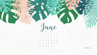 Tropical calendar june palm leaves - tropical free wallpaper