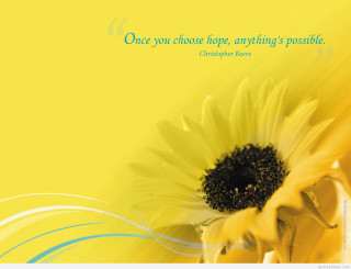 Sunflower quote beautiful inspiration nature - possible free wallpaper