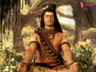 Man costume forest snake head - a snake free wallpaper