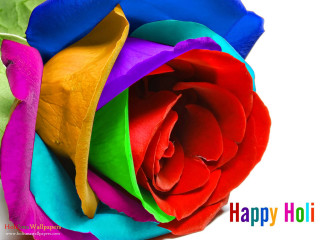 Colorful rose happy holi message - colour free wallpaper