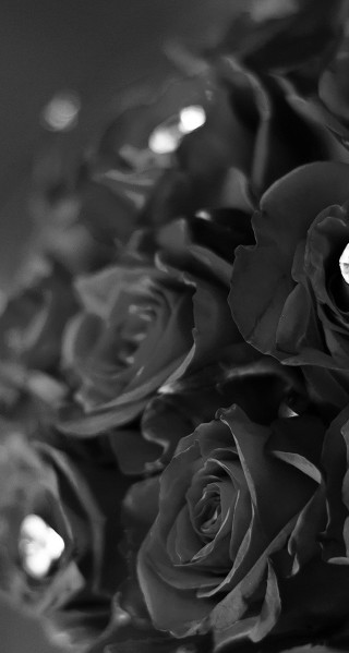 Bouquet roses diamond middle beautiful - rose free wallpaper for mobile