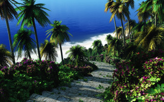 Steps beach palm trees flowers - a set of steps free wallpaper