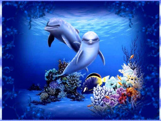 Dolphin swimming ocean corals fish - underwater free wallpaper for desktop