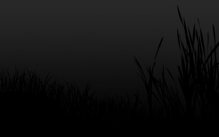 Black white bird grass night - daarken free wallpaper