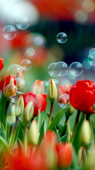Red flowers bubbles floating blurry - impressionist free wallpaper for mobile