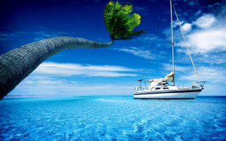 Boat ocean palm tree blue 2 - floating free wallpaper for desktop