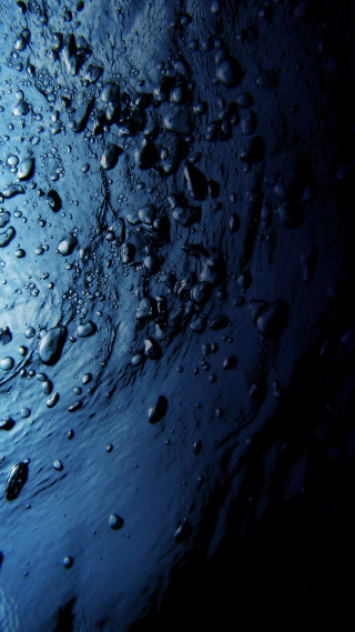 Blue background water droplets black 2 - a microscopic photo free wallpaper for mobile