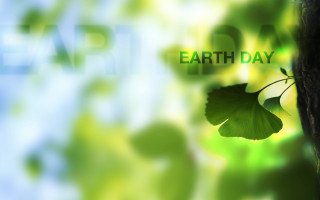 Leaf earth day background blurry - a leaf free wallpaper