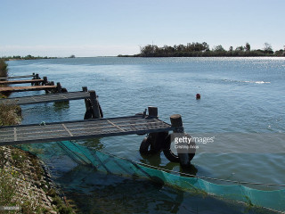 Man wet suit sitting dock - a wet suit free wallpaper