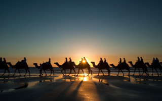 Camel ride beach sunset group - the sun setting free wallpaper