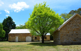 Tree brick building white roof - a tree in front free wallpaper