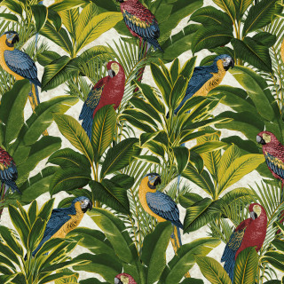 Colorful tropical parrots palm leaves - jungle free wallpaper