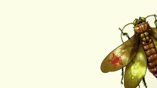 Bee flower wings fireflies fairy - its back leg free wallpaper
